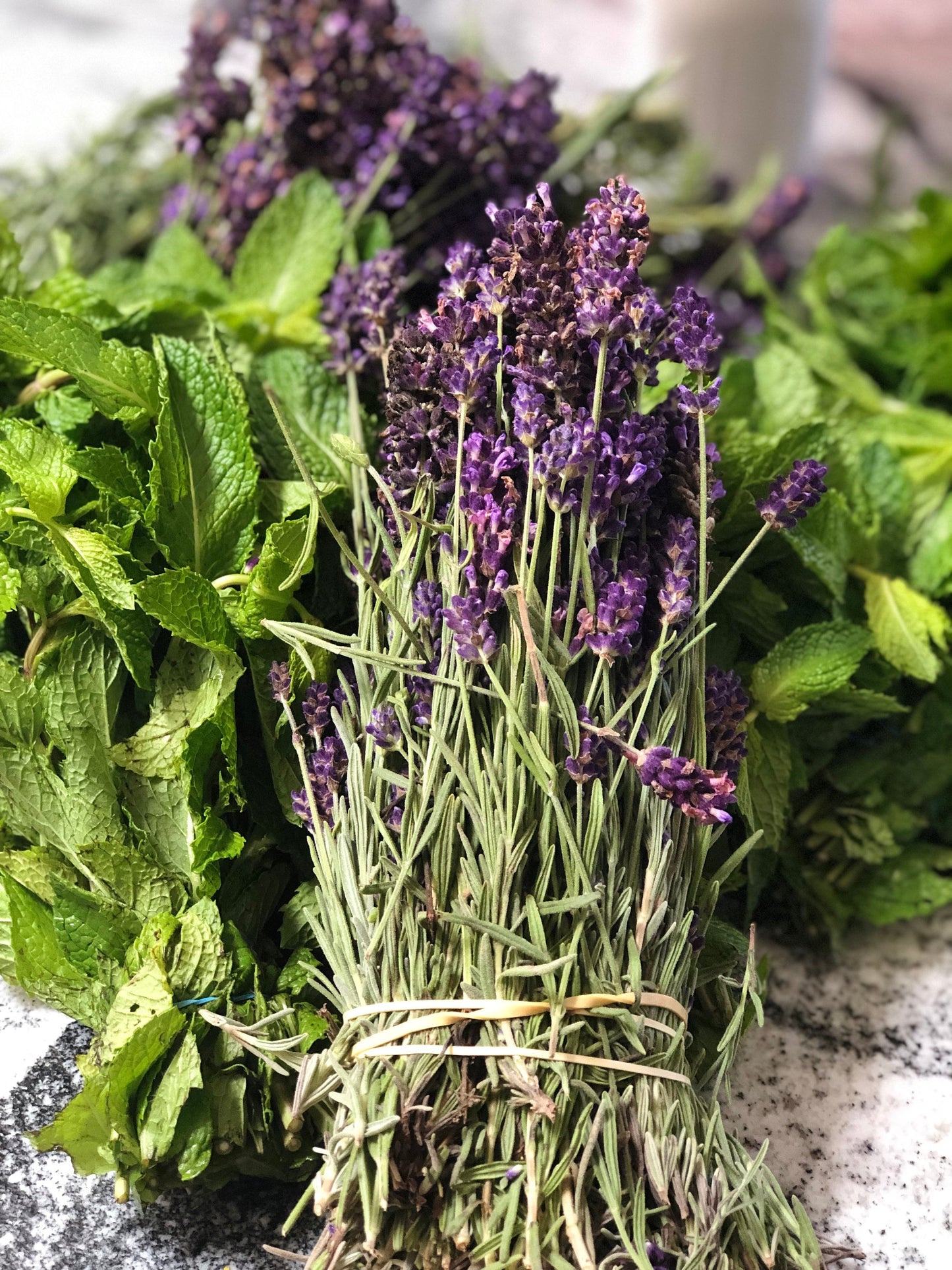 Botanical Herbs, Bulk Herbs, Loose Herbs, Assorted Herbs, Magical Herbs, Dried Flowers, Tea Herbs, Just the Basics Herbs, Mix and Match