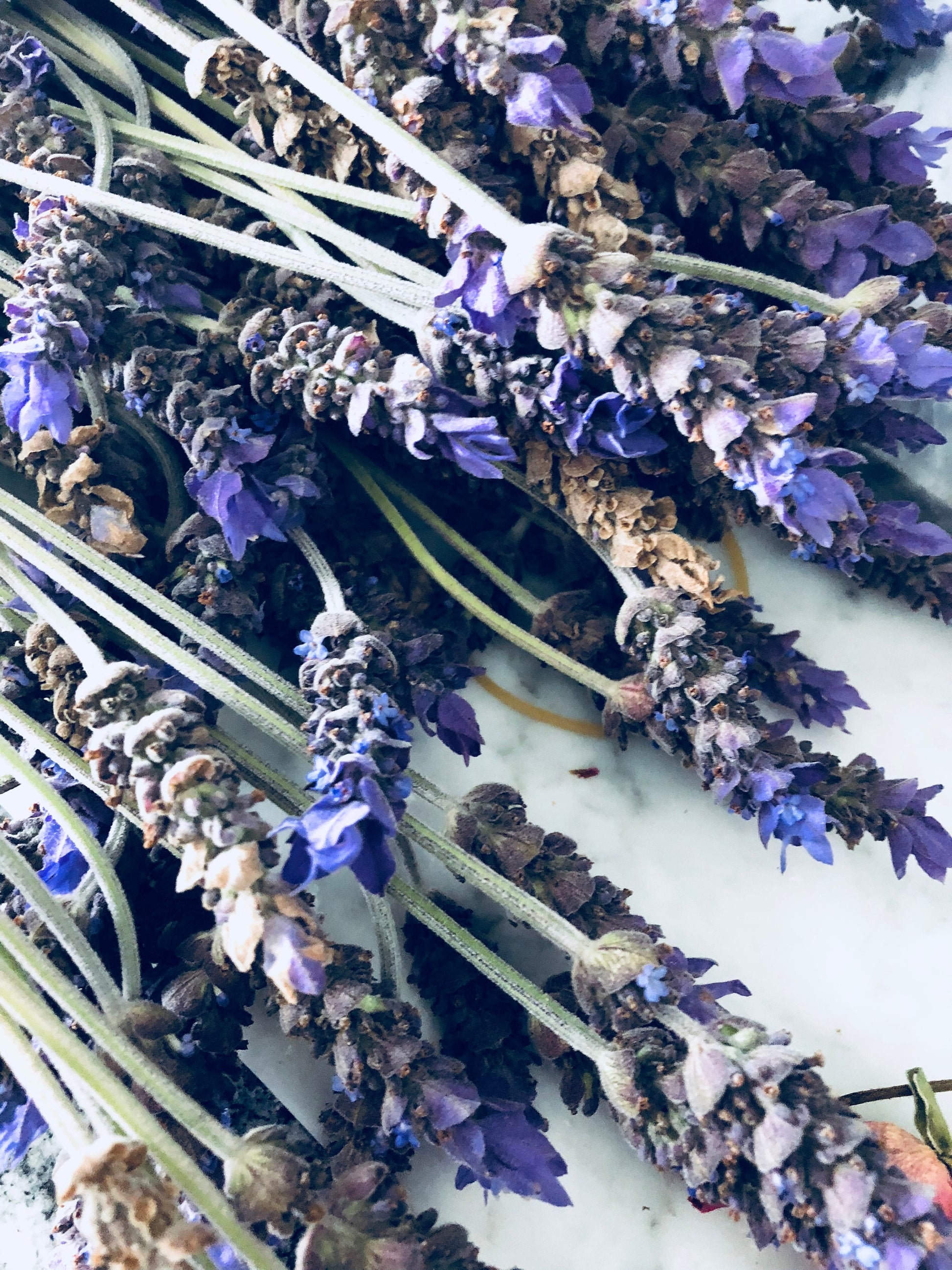 Botanical Herbs, Bulk Herbs, Loose Herbs, Assorted Herbs, Magical Herbs, Dried Flowers, Tea Herbs, Just the Basics Herbs, Mix and Match