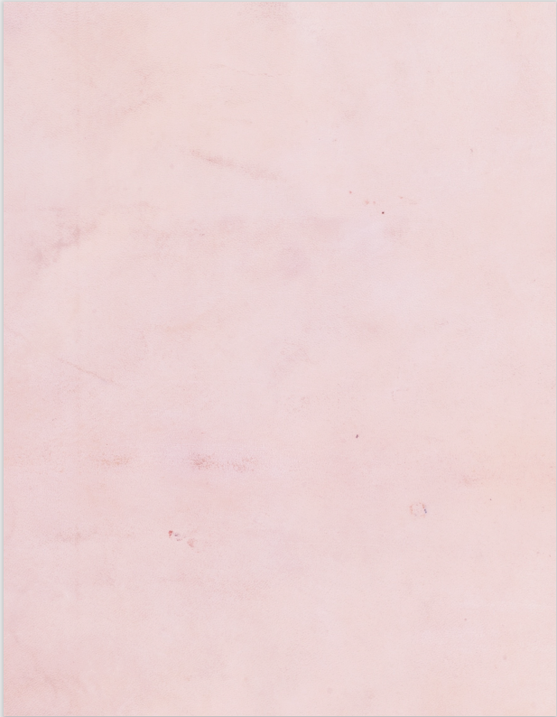 Digital Paper Pack Pink Rose 8.5x11