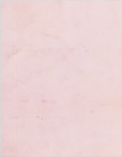 Digital Paper Pack Pink Rose 8.5x11